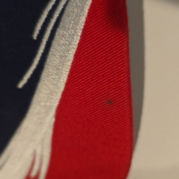 USA Olympics Team Memorabilia Velcro Srapback Hat [ Read Details ] - Picture 5 of 12